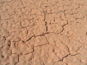 2-D Mud Cracking Phenomenon