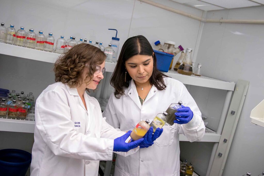 Assistant Professor Anca Delgado and doctoral student Aide Robles hold and examine bioremediation samples in Delgado's lab
